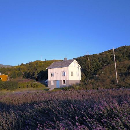 Steinbakk - Vestresand Lofoten Bostad Exterior foto