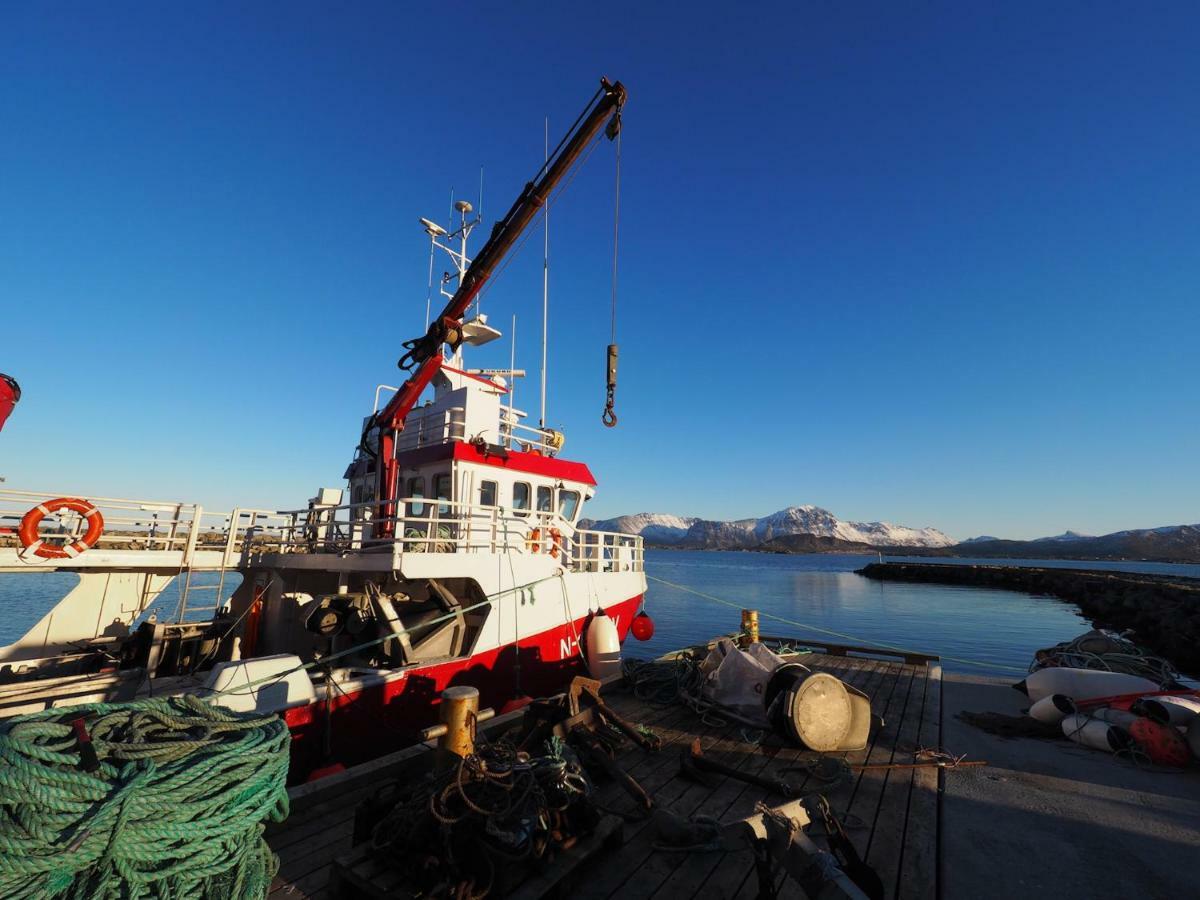 Steinbakk - Vestresand Lofoten Bostad Exterior foto